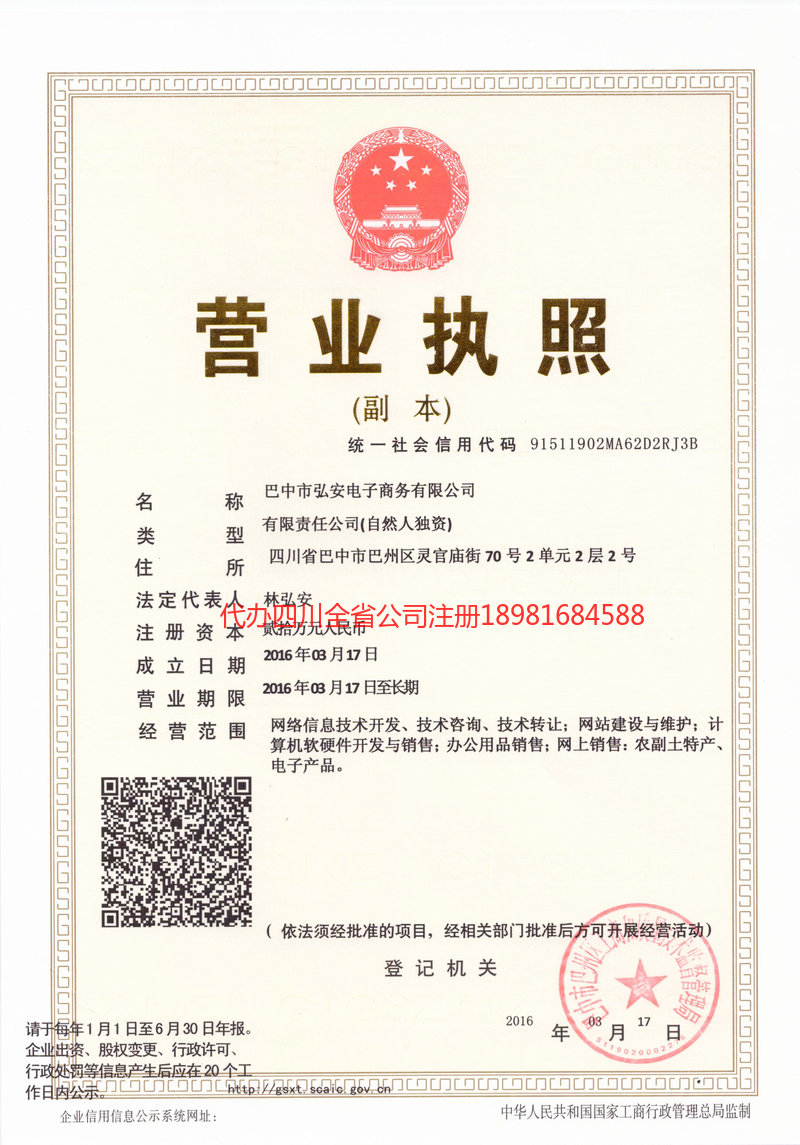 攀枝花市攀枝花市宏安电子商务有限公司